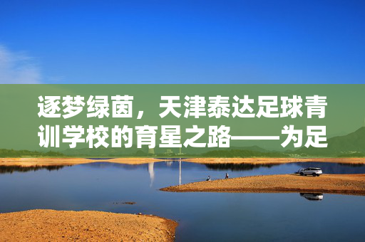 逐梦绿茵，天津泰达足球青训学校的育星之路——为足球未来播种希望