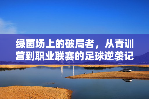 绿茵场上的破局者，从青训营到职业联赛的足球逆袭记——真实中国足球故事的缩影