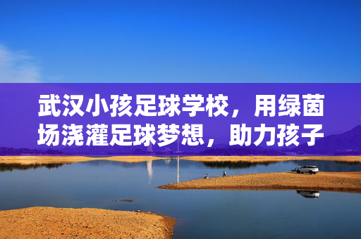 武汉小孩足球学校，用绿茵场浇灌足球梦想，助力孩子全面发展，武汉小孩足球学校，用绿茵场浇灌足球梦想，助力孩子全面发展
