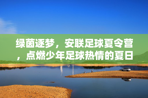 绿茵逐梦，安联足球夏令营，点燃少年足球热情的夏日盛宴，绿茵逐梦，安联足球夏令营，点燃少年足球热情的夏日盛宴