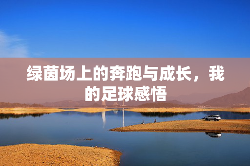 绿茵场上的奔跑与成长，我的足球感悟