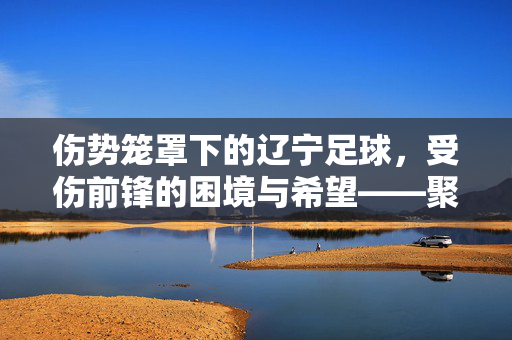 伤势笼罩下的辽宁足球，受伤前锋的困境与希望——聚焦某位前锋的伤病历程与球队应对，伤势笼罩下的辽宁足球，受伤前锋的伤病困境与球队应对的希望