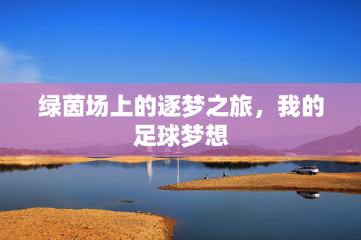 绿茵场上的逐梦之旅，我的足球梦想