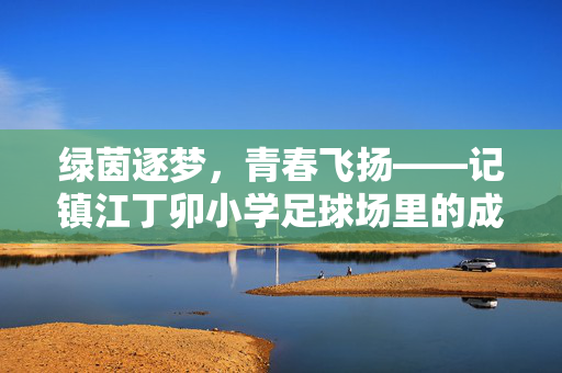 绿茵逐梦，青春飞扬——记镇江丁卯小学足球场里的成长故事，绿茵逐梦，青春飞扬——记镇江丁卯小学足球场里的成长故事