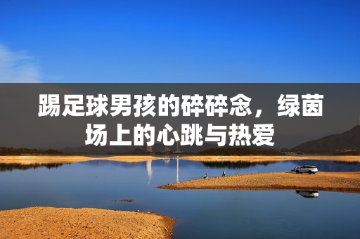 踢足球男孩的碎碎念，绿茵场上的心跳与热爱