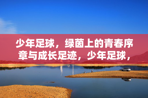 少年足球，绿茵上的青春序章与成长足迹，少年足球，绿茵上的青春序章与成长足迹