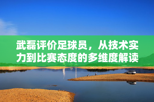 武磊评价足球员，从技术实力到比赛态度的多维度解读，武磊评价足球员，技术实力与比赛态度的多维度解读
