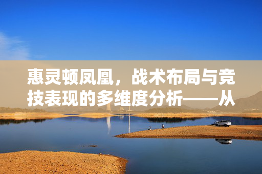 惠灵顿凤凰，战术布局与竞技表现的多维度分析——从数据到赛场的深度解读，惠灵顿凤凰，战术布局与竞技表现的多维度分析——从数据到赛场的深度解读