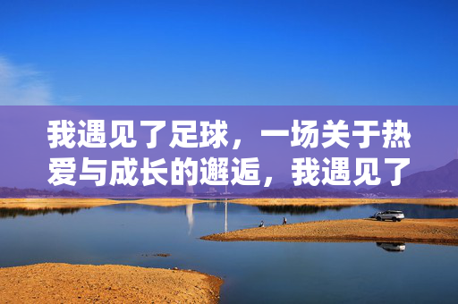 我遇见了足球，一场关于热爱与成长的邂逅，我遇见了足球，一场关于热爱与成长的邂逅