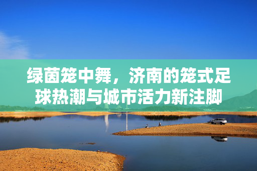 绿茵笼中舞，济南的笼式足球热潮与城市活力新注脚