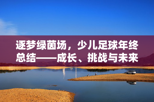 逐梦绿茵场，少儿足球年终总结——成长、挑战与未来展望，逐梦绿茵场，少儿足球年终总结——成长、挑战与未来展望
