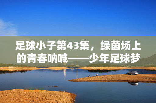 足球小子第43集，绿茵场上的青春呐喊——少年足球梦的燃情对决，足球小子第43集，绿茵场上的青春呐喊——少年足球梦的燃情对决
