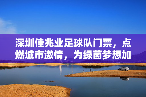 深圳佳兆业足球队门票，点燃城市激情，为绿茵梦想加码，深圳佳兆业足球队门票，点燃城市激情，为绿茵梦想加码