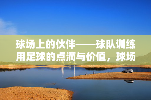 球场上的伙伴——球队训练用足球的点滴与价值，球场上的伙伴，球队训练用足球的点滴与价值