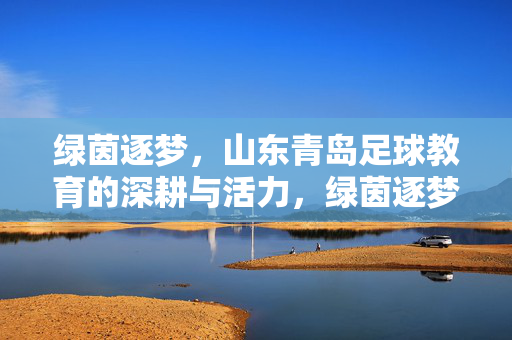 绿茵逐梦，山东青岛足球教育的深耕与活力，绿茵逐梦，山东青岛足球教育的深耕与活力