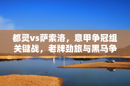 都灵vs萨索洛，意甲争冠组关键战，老牌劲旅与黑马争锋的激烈较量，都灵vs萨索洛，意甲争冠组关键战，老牌劲旅与黑马争锋的激烈较量