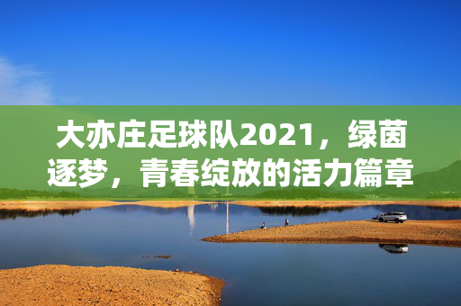 大亦庄足球队2021，绿茵逐梦，青春绽放的活力篇章