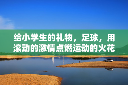 给小学生的礼物，足球，用滚动的激情点燃运动的火花，给小学生的足球礼物，用滚动的激情点燃运动的火花