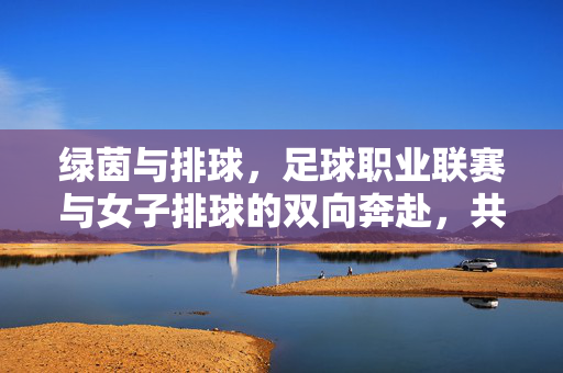 绿茵与排球，足球职业联赛与女子排球的双向奔赴，共谱体育华章，足球职业联赛与女子排球双向奔赴，共谱体育华章