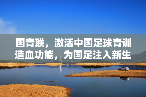 国青联，激活中国足球青训造血功能，为国足注入新生力量——中国足球振兴的青训新引擎，国青联，激活中国足球青训造血功能，为国足注入新生力量——中国足球振兴的青训新引擎