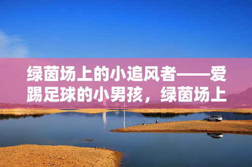 绿茵场上的小追风者——爱踢足球的小男孩，绿茵场上的小追风者——爱踢足球的小男孩