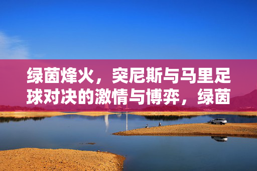 绿茵烽火，突尼斯与马里足球对决的激情与博弈，绿茵烽火，突尼斯与马里足球对决的激情与博弈