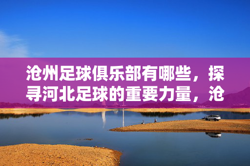 沧州足球俱乐部有哪些，探寻河北足球的重要力量，沧州足球俱乐部，探寻河北足球的重要力量