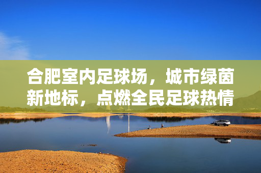 合肥室内足球场，城市绿茵新地标，点燃全民足球热情，合肥室内足球场，城市绿茵新地标，点燃全民足球热情