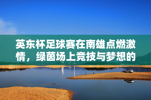 英东杯足球赛在南雄点燃激情，绿茵场上竞技与梦想的碰撞，英东杯足球赛在南雄点燃激情，绿茵竞技与梦想碰撞