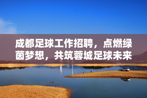 成都足球工作招聘，点燃绿茵梦想，共筑蓉城足球未来——2024年成都足球领域招聘信息汇总，成都足球工作招聘，点燃绿茵梦想，共筑蓉城足球未来——2024年成都足球领域招聘信息汇总