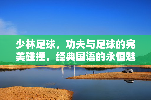 少林足球，功夫与足球的完美碰撞，经典国语的永恒魅力，少林足球，功夫与足球的完美碰撞，经典国语的永恒魅力