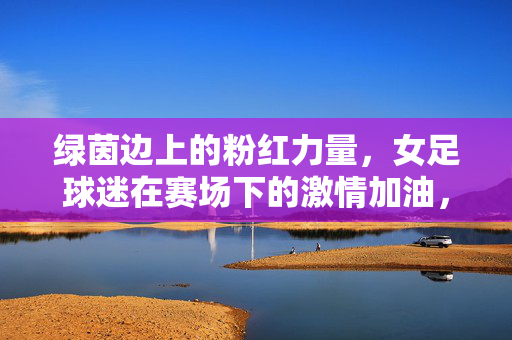 绿茵边上的粉红力量，女足球迷在赛场下的激情加油，绿茵边上的粉红力量，女足球迷在赛场下的激情加油