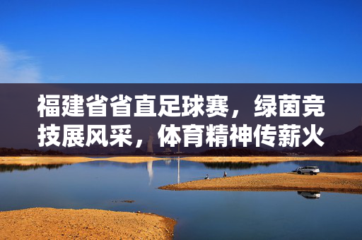 福建省省直足球赛，绿茵竞技展风采，体育精神传薪火，福建省省直足球赛，绿茵竞技展风采，体育精神传薪火