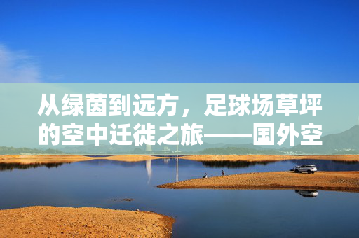 从绿茵到远方，足球场草坪的空中迁徙之旅——国外空运如何让绿茵更鲜活？
