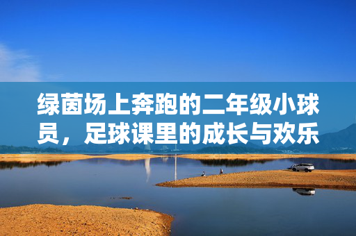 绿茵场上奔跑的二年级小球员，足球课里的成长与欢乐，绿茵场上奔跑的二年级小球员，足球课里的成长与欢乐