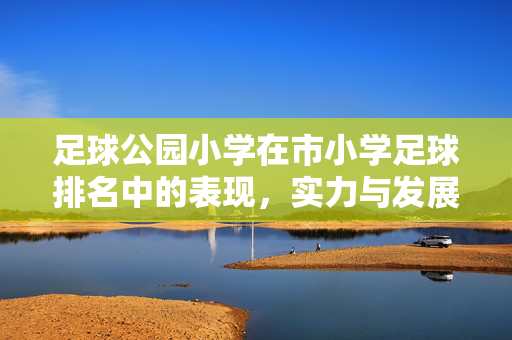 足球公园小学在市小学足球排名中的表现，实力与发展的双重视角，足球公园小学在市小学足球排名中的表现，实力与发展的双重视角