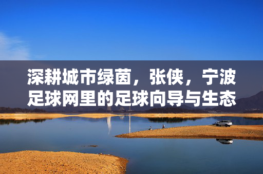 深耕城市绿茵，张侠，宁波足球网里的足球向导与生态守护者