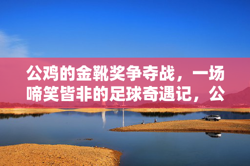 公鸡的金靴奖争夺战，一场啼笑皆非的足球奇遇记，公鸡的金靴奖争夺战，一场啼笑皆非的足球奇遇记