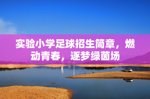 实验小学足球招生简章，燃动青春，逐梦绿茵场