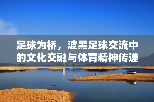 足球为桥，波黑足球交流中的文化交融与体育精神传递
