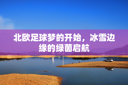 北欧足球梦的开始，冰雪边缘的绿茵启航