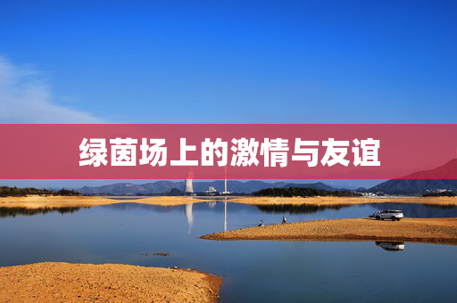 绿茵场上的激情与友谊