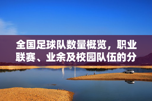 全国足球队数量概览，职业联赛、业余及校园队伍的分布与现状