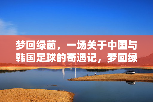 梦回绿茵，一场关于中国与韩国足球的奇遇记，梦回绿茵，一场中韩足球的奇遇记