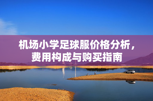 机场小学足球服价格分析，费用构成与购买指南