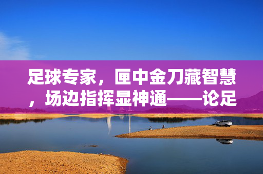 足球专家，匣中金刀藏智慧，场边指挥显神通——论足球分析中的专业洞察力