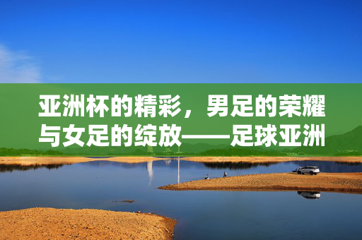 亚洲杯的精彩，男足的荣耀与女足的绽放——足球亚洲杯分男女的璀璨篇章