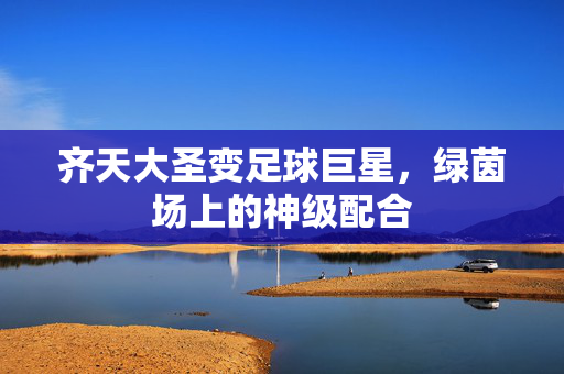 齐天大圣变足球巨星，绿茵场上的神级配合