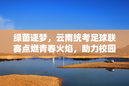 绿茵逐梦，云南统考足球联赛点燃青春火焰，助力校园足球发展新篇章，绿茵逐梦，云南统考足球联赛点燃青春火焰，助力校园足球发展新篇章