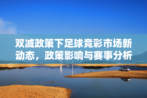 双减政策下足球竞彩市场新动态，政策影响与赛事分析日报